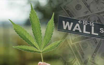 Wall Street experiments with investments in marijuana – THE INFO TODAY